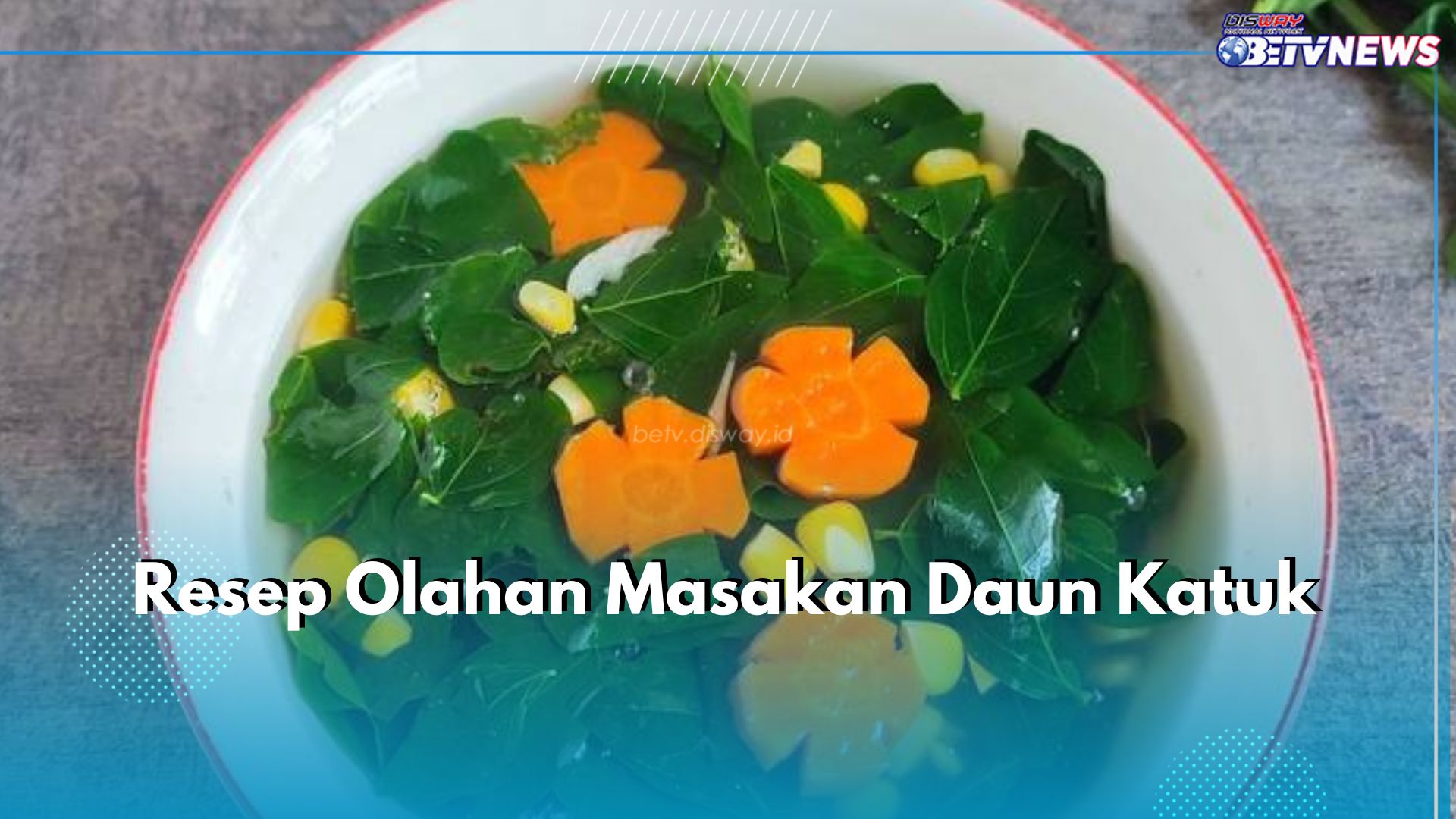 Yummy! Ini 3 Resep Masakan Olahan Daun Katuk, Lezat dan Berkhasiat