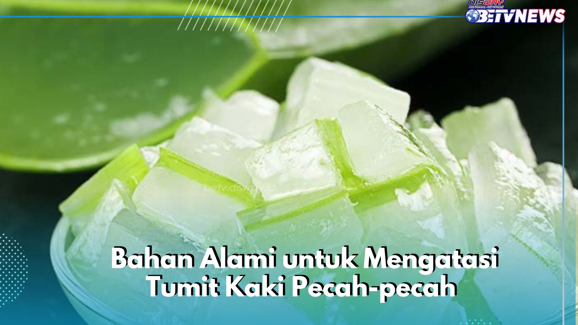 Bisa Mengatasi Tumit Kaki Pecah-pecah, Cek Bahan Alami Ini! Coba Manfaatkan Gel Lidah Buaya