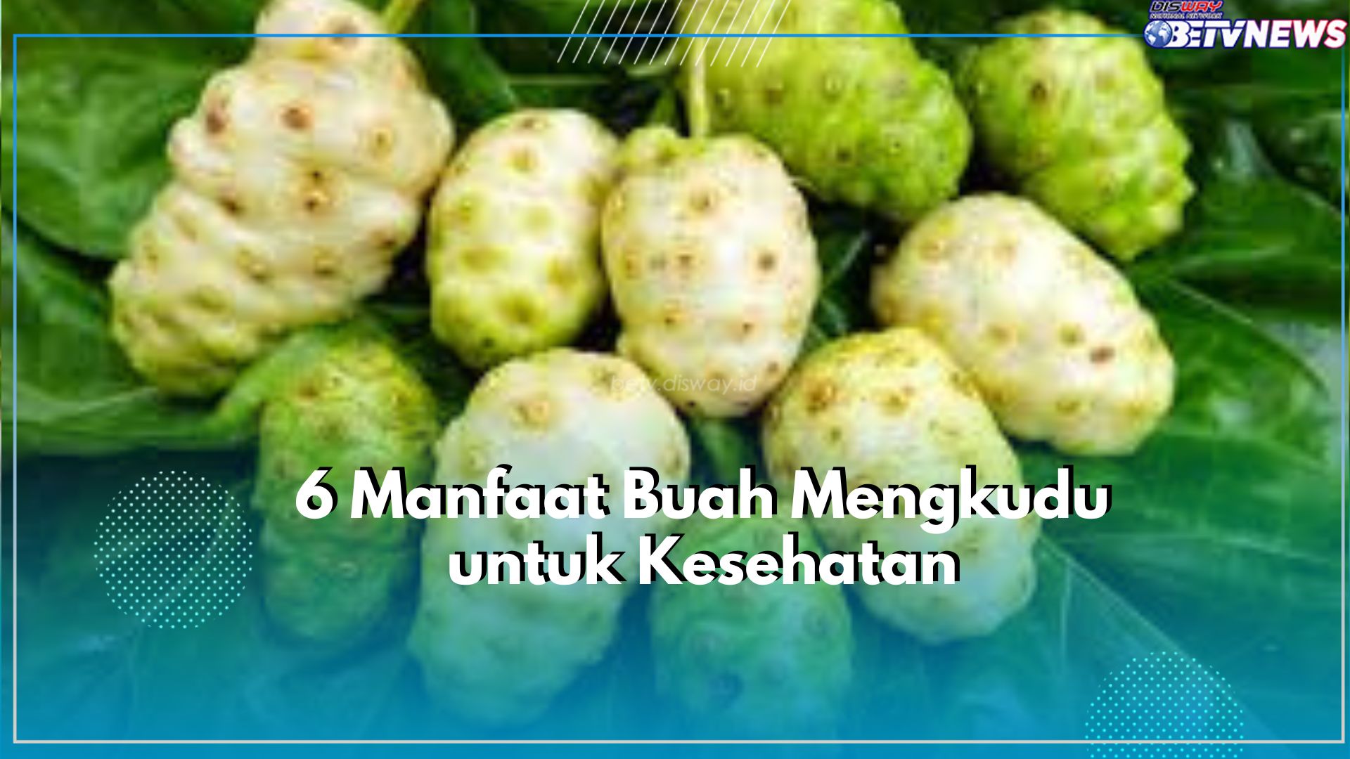Jantung Sehat dan Terjaga dengan Konsumsi Buah Mengkudu, Klaim 5 Manfaat Lainnya Disini!