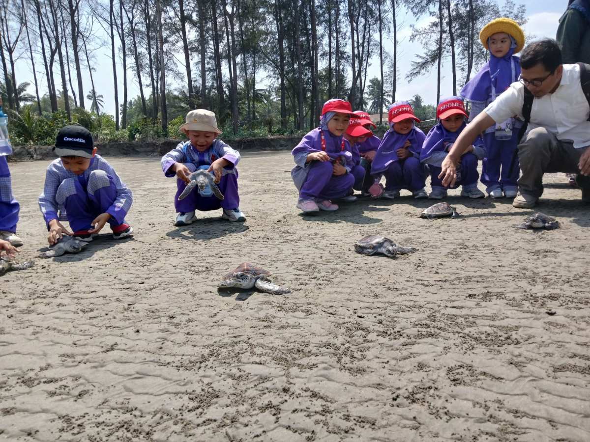 UNIB: Sosialisasi Konservasi Penyu dan Pelepasan Tukik Bersama Kelompok Penangkaran Penyu Alun Utara Benteng 