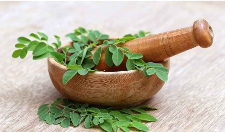 Bak Dipinang Dibelah Dua, Ini Perbedaan Daun Katuk dan Daun Kelor