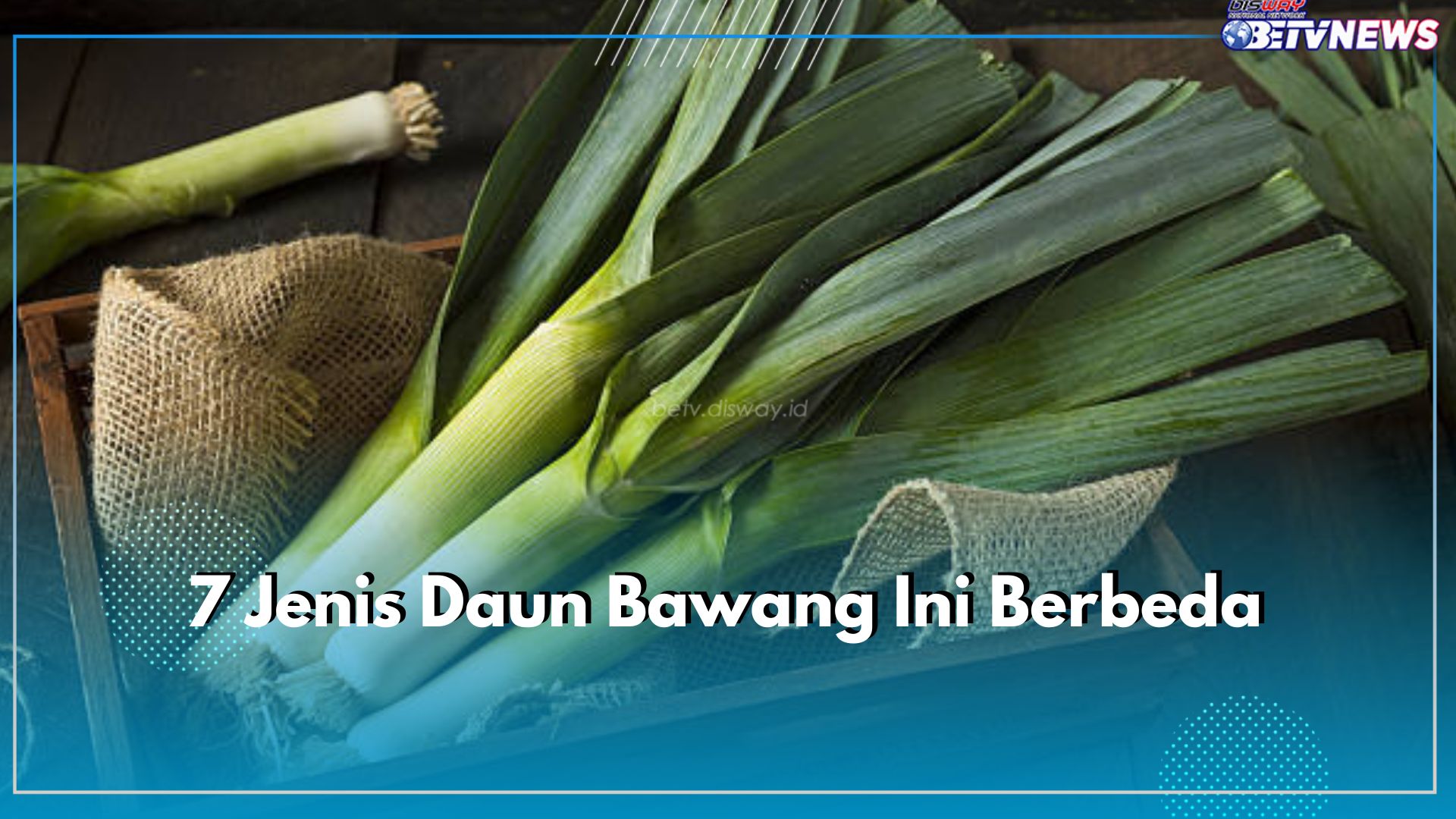 7 Jenis Daun Bawang Ini Berbeda, Kenali Varietas dan Ciri Khasnya di Sini