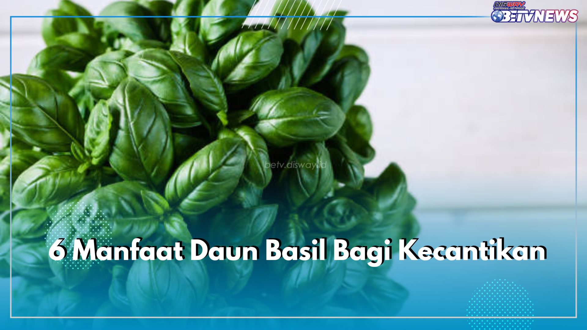 Rempah Alami Ampuh Mengatasi Masalah Kulit, Inilah 6 Manfaat Daun Basil Bagi Kecantikan