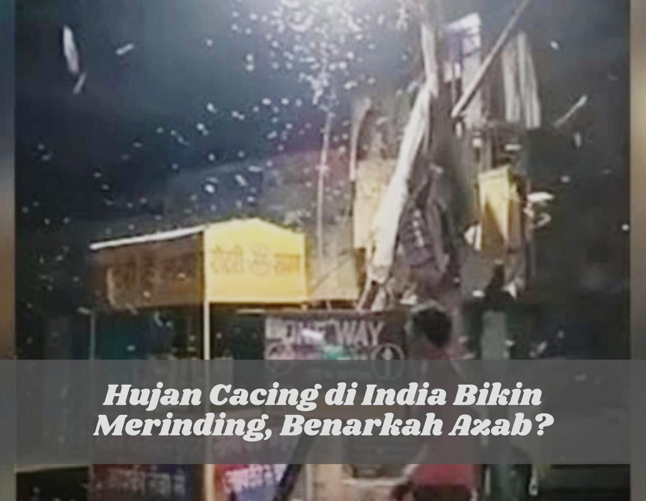 Fenomena Aneh! Hujan Cacing di India Bikin Merinding, Benarkah Azab?