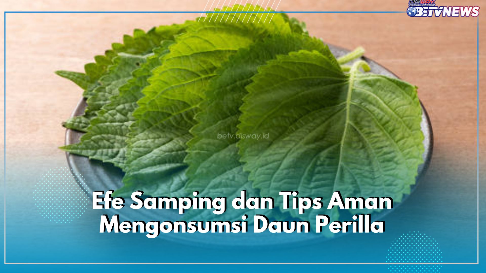 Intip 6 Efek Samping Daun Perilla bagi Kesehatan, Berikut Tips Aman Mengonsumsinya