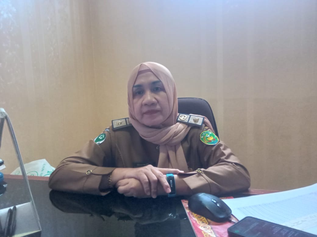 Angka Kematian Ibu dan Bayi di Kota Bengkulu Meningkat Selama 2024