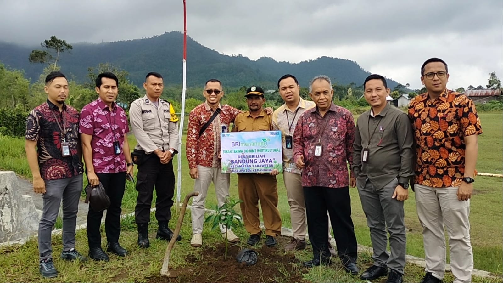 Greening, BRI Cabang Curup Salurkan 3.000 Bibit Alpukat dan Durian 