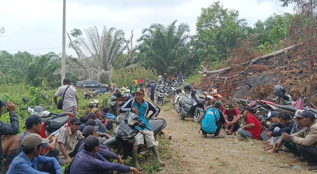 Masyarakat Urai Bengkulu Utara Akan Kembali Garap Lahan PTPN VII, untuk Bercocok Tanam