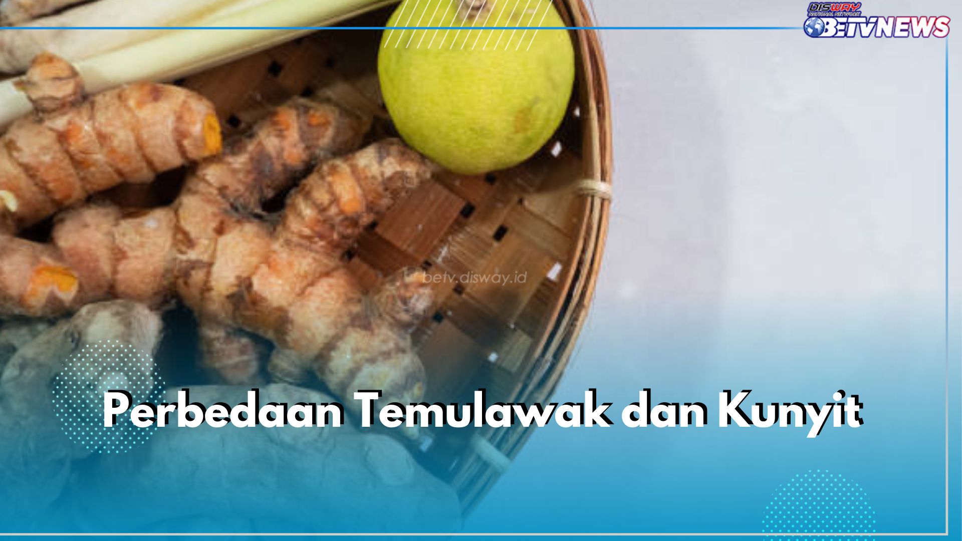 Masih Satu Keluarga, Ini 4 Perbedaan Temulawak dan Kunyit yang Perlu Kamu Ketahui