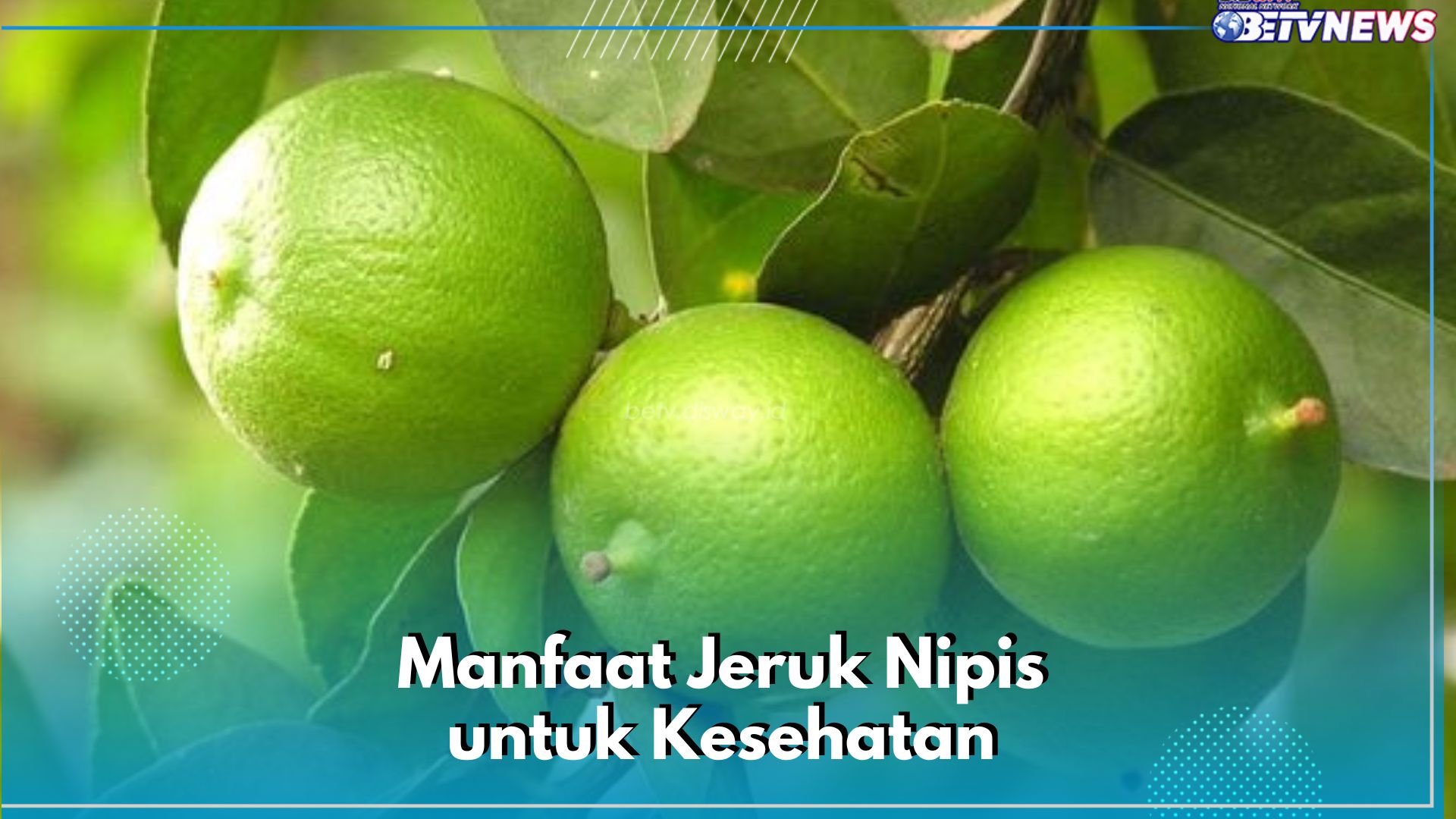 Cukup Pakai Jeruk Nipis Bisa Buat Kulit Wajah Awet Muda, Cek 6 Manfaatnya 