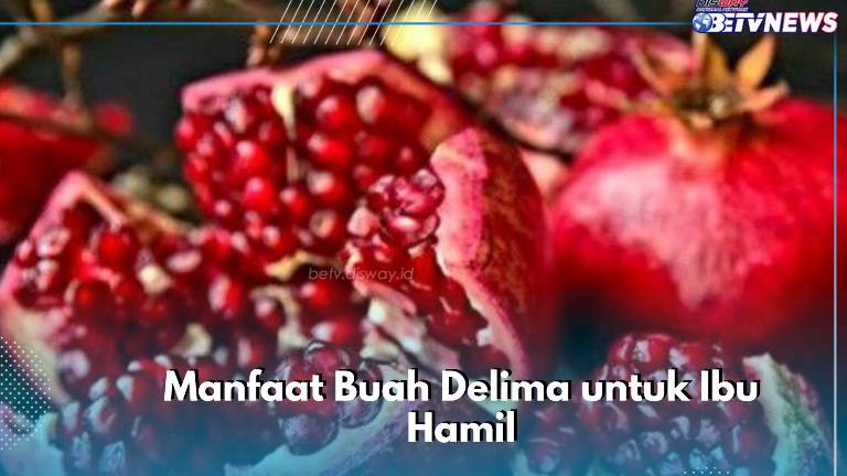 Buah Delima Baik bagi Nutrisi Ibu Hamil, Mampu Mencegah Risiko Anemia, Cek Manfaat Lainnya di Sini