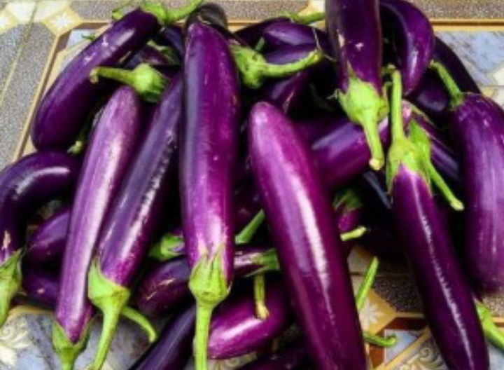 Terong Ungu Dijuluki Rajanya Sayur, Cek Manfaatnya Disini!