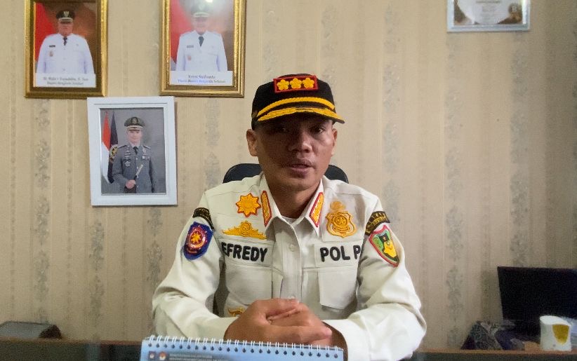 Siap-siap! Hewan Ternak Liar yang Terjaring Satpol PP Bengkulu Selatan Direncanakan Bakal Dilelang