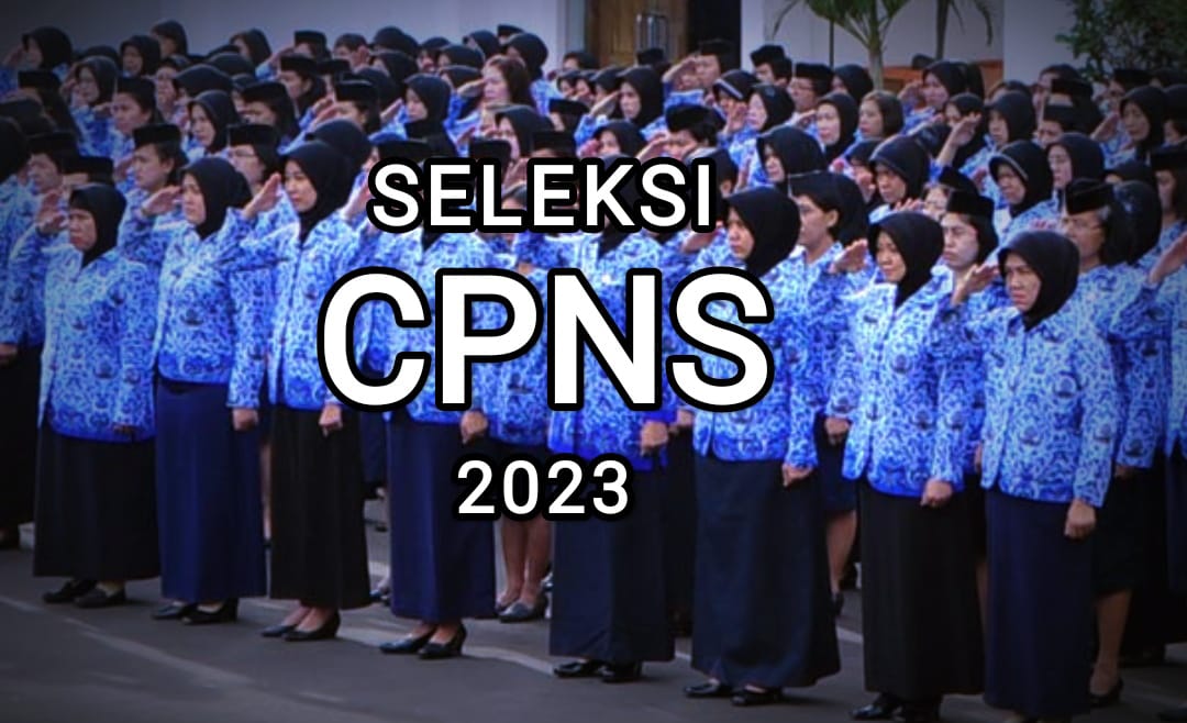 PPPK Boleh Ikut Seleksi CPNS 2023, Asalkan..