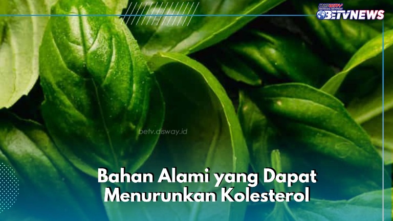 Bisa Menurunkan Kolesterol, Cukup Manfaatkan Bahan Alami Ini, Salah Satunya Basil