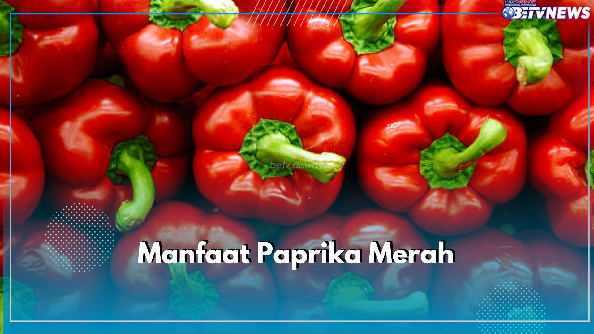 9 Manfaat Paprika Merah Bagi Kesehatan, Mampu Mengatasi Kolesterol hingga Diabetes!