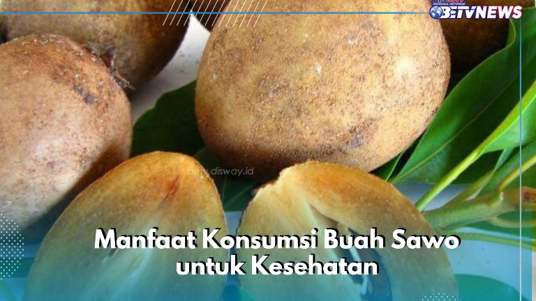 Cek Manfaat Rincinya di Sini, Buah Sawo Dipercaya Dapat Meningkatkan Kekebalan Tubuh