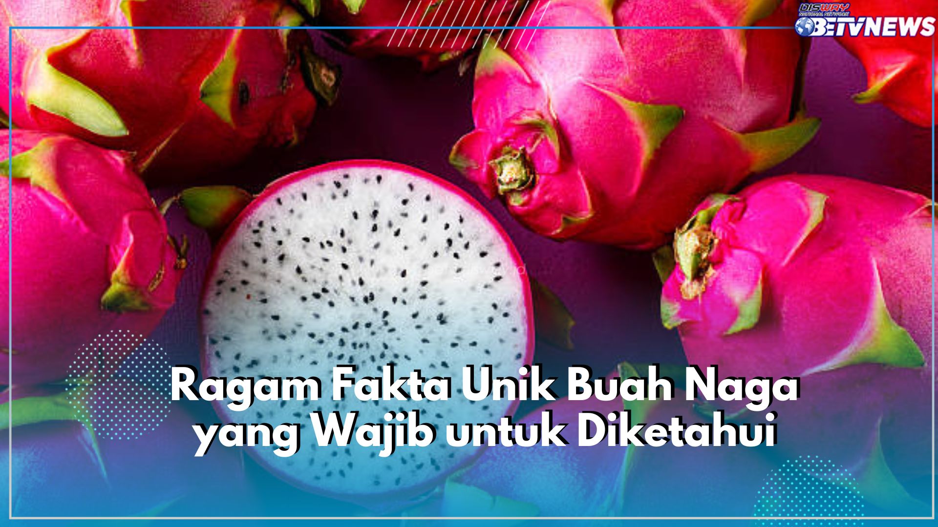 Wajib Diketahui! Yuk, Kilas Balik Fakta Unik Buah Naga, Ternyata dapat Menunda Lapar