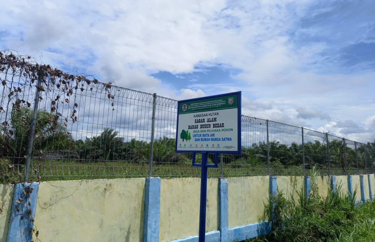 BKSDA Bengkulu Warning Perambah Cagar Alam Danau Dusun Besar  