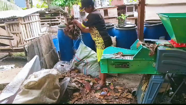 Kelola Sampah Organik Jadi Pakan Ternak dan Media Tanam, Solusi Ramah Lingkungan dari Bengkulu
