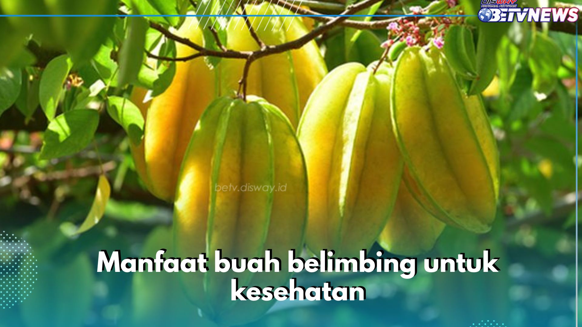 5 Manfaat Buah Belimbing untuk Kesehatan, Salah Satunya Bantu Redakan Peradangan pada Penyakit Kulit