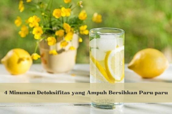 4 Minuman Detoksifitas yang Ampuh Bersihkan Paru-paru, Bikin Nafas Lebih Lega, Yuk Coba dan Rasakan Manfaatnya