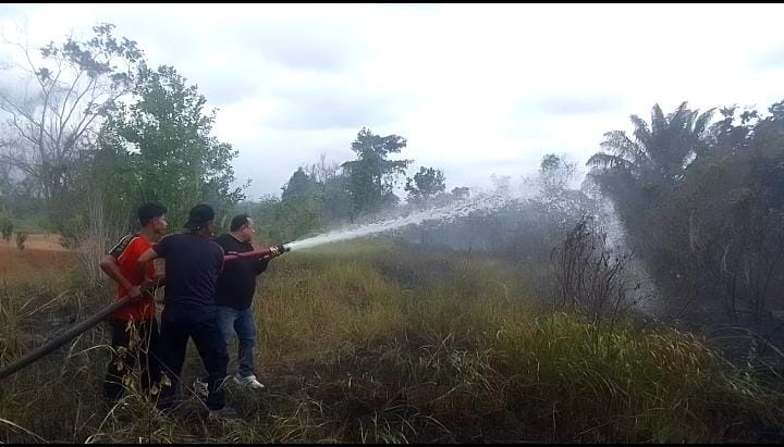 Kebakaran Lahan di Seluma, Wakil Bupati Bantu Damkar Padamkan Api