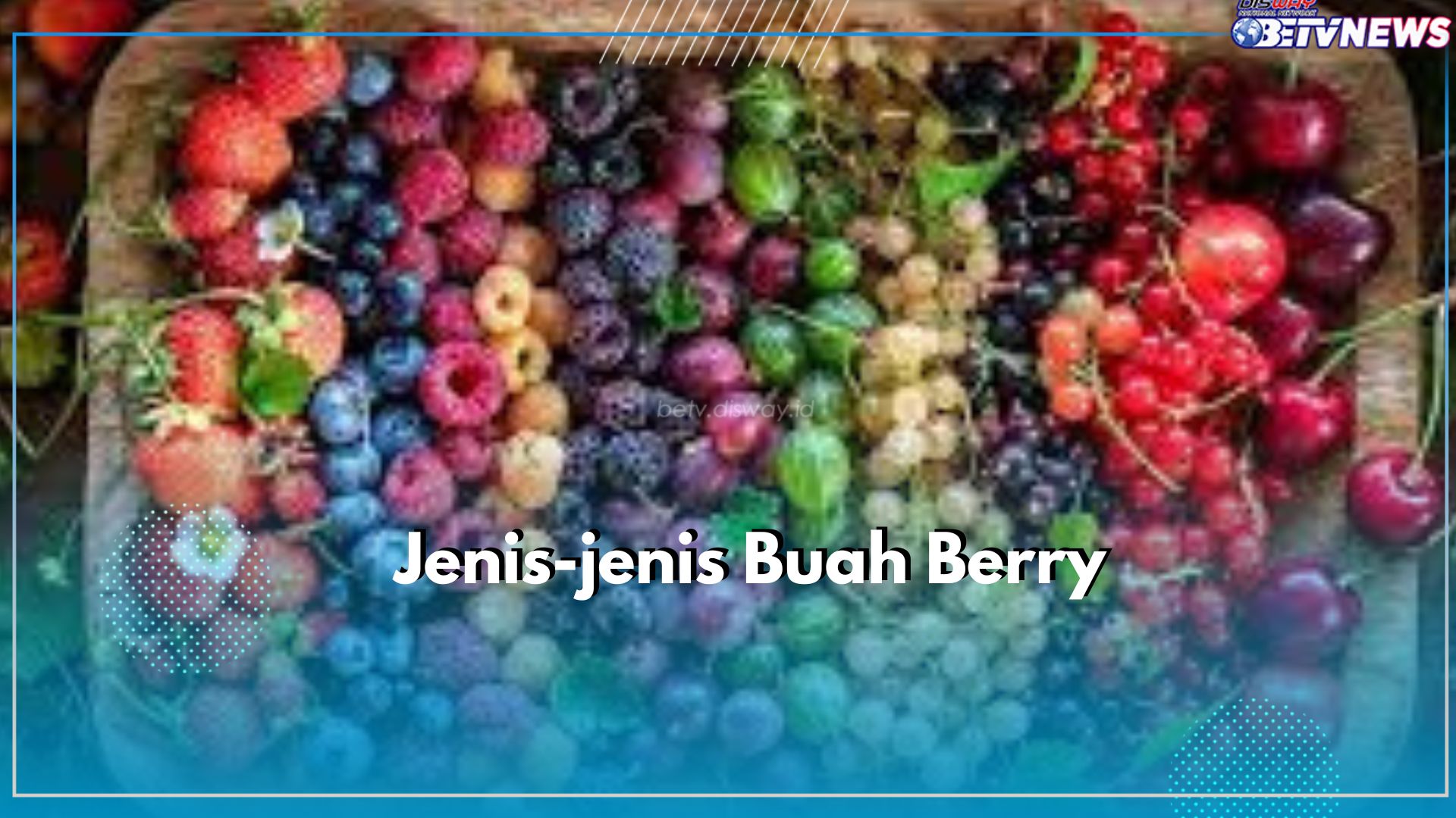Wajib Tahu! Inilah 12 Macam Jenis Buah Berry, Punya Karakteristik dan Manfaat yang Berbeda