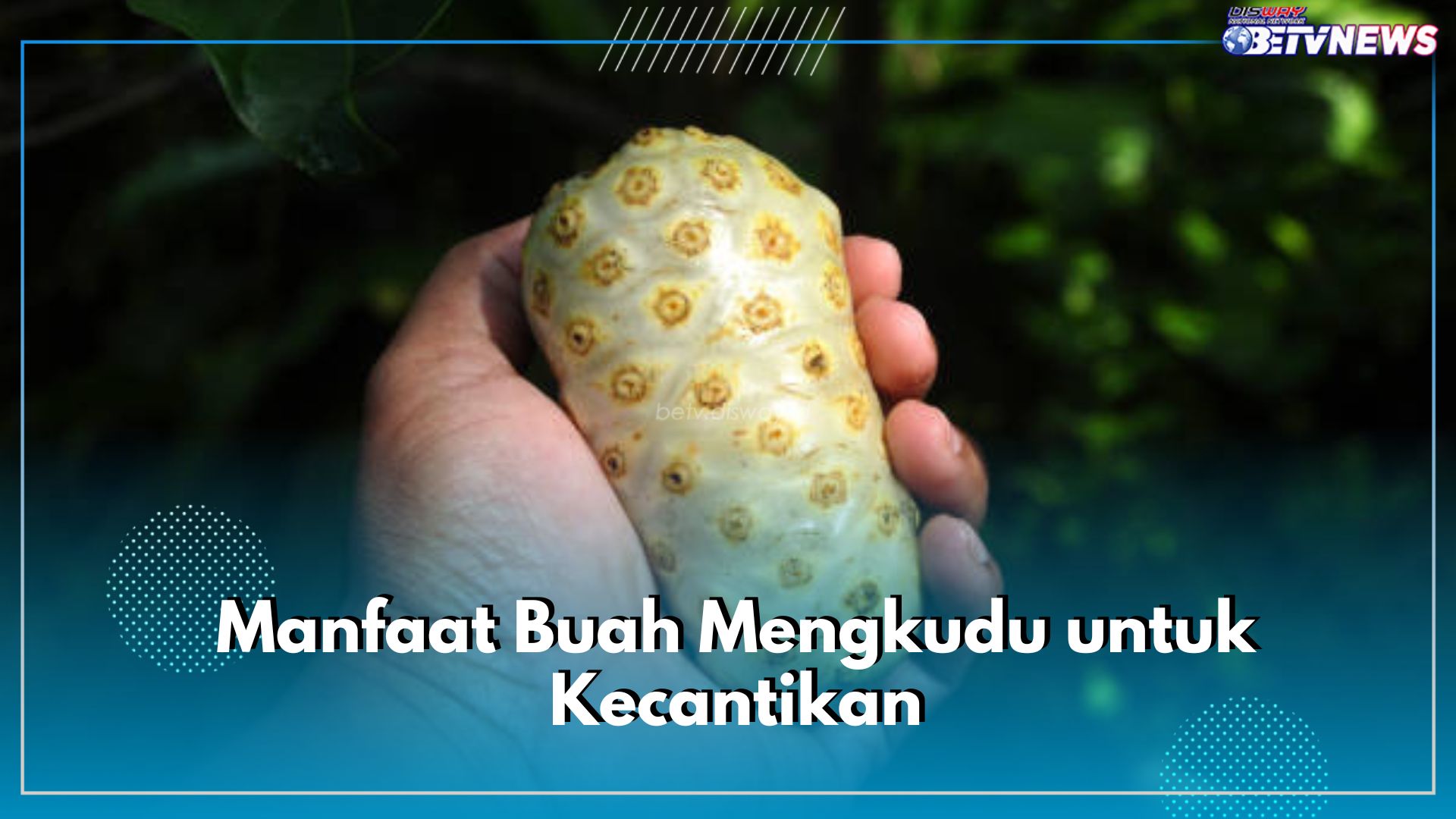 Jangan Lewatkan 6 Manfaat Buah Mengkudu Ini untuk Kecantikan, Ampuh Halau Penuaan Dini