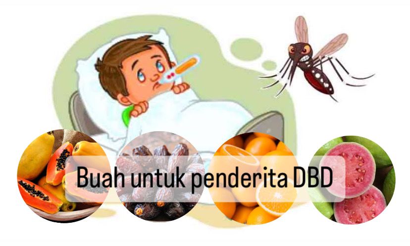 Efektif Meningkatkan Trombosit, 5 Jenis Buah Ini Baik Dikonsumsi Penderita DBD, Yuk Intip