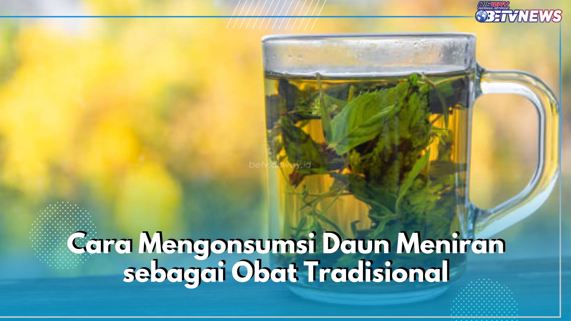 Ingin Konsumsi Daun Meniran sebagai Obat Tradisional? Ini 6 Cara Konsumsinya, Bisa Jadi Infused Water