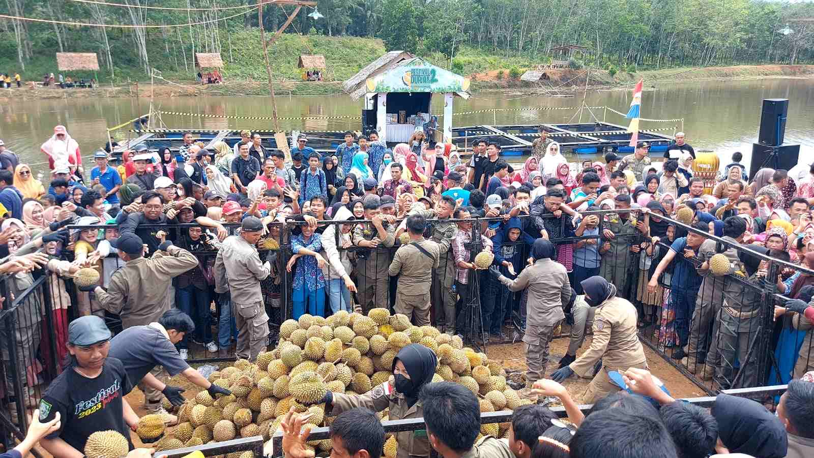 Festival Durian Diserbu Masyarakat, 1.000 Butir Ludes dalam Hitungan Menit