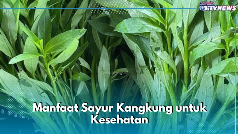 Sayur Kangkung Baik untuk Kesehatan Mata, Ini Manfaat Lainnya yang Jarang Diketahui