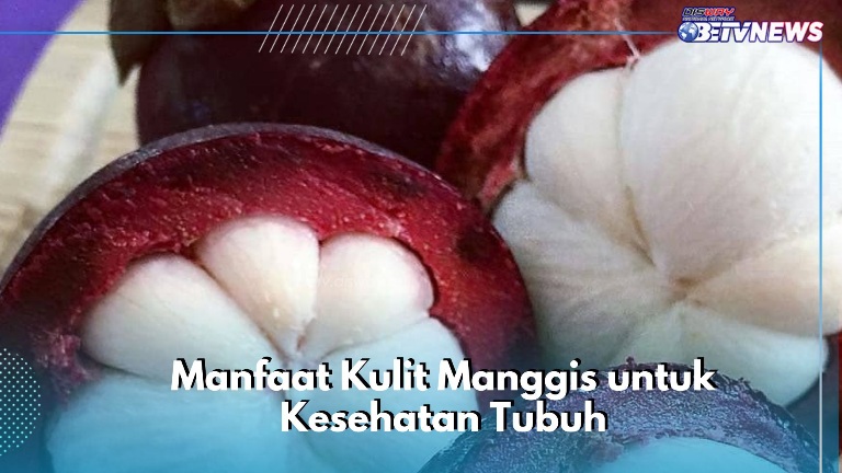 Cek di Sini! Manfaat Lain Kulit Manggis yang Jarang Diketahui, Ampuh Bikin Awet Muda