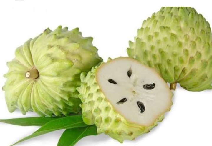 Klaim 7 Manfaat Utama Konsumsi Buah Sirsak untuk Kesehatan Tubuh, Sebagai Anti Kanker