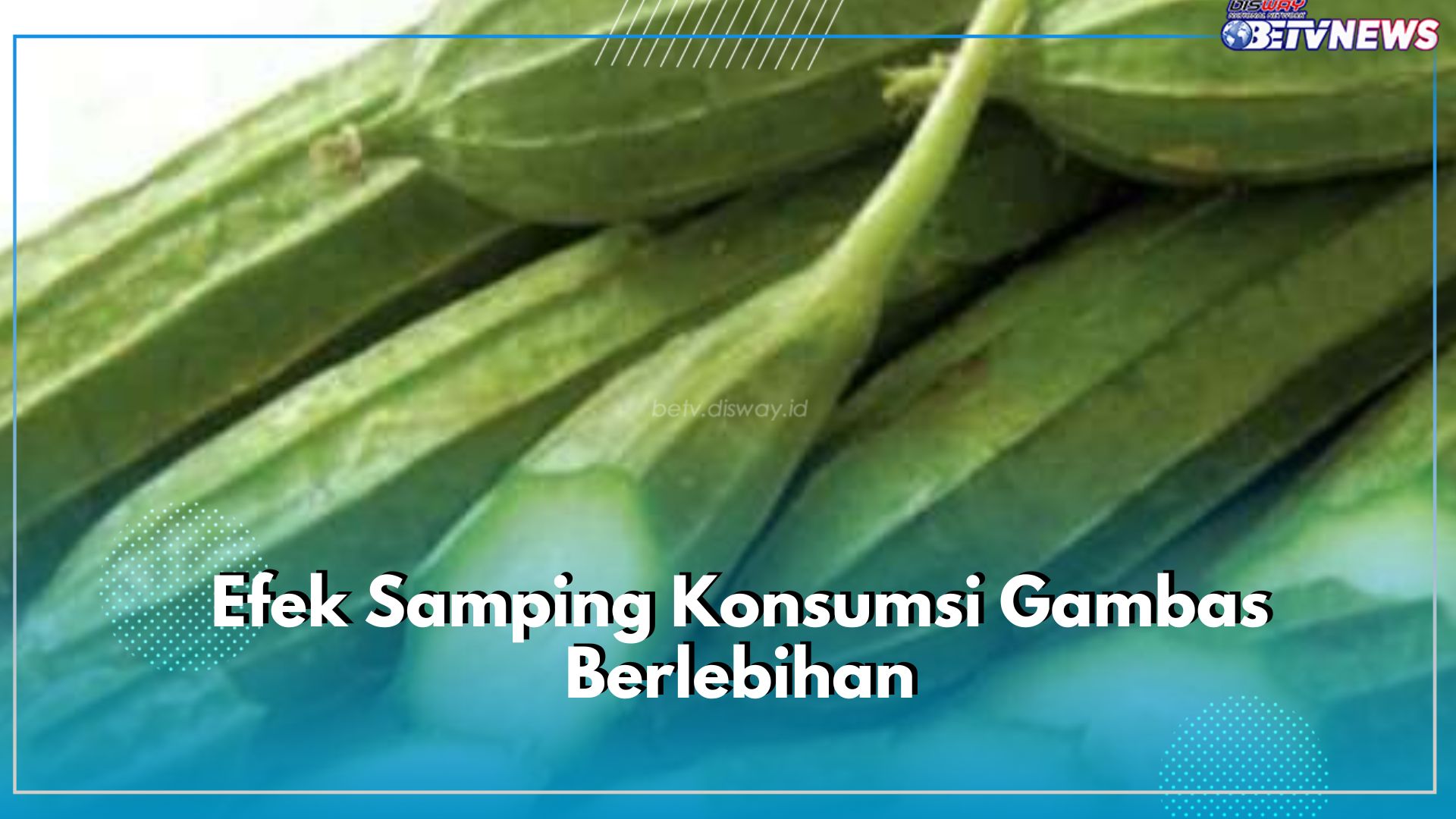 Waspada Konsumsi Gambas Berlebih, Bisa Membuat Ibu Hamil Keguguran, Ini Alasannya!