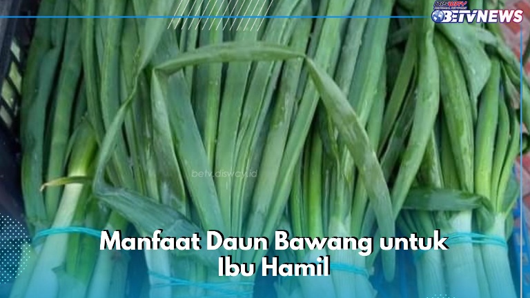 Cek di Sini Manfaat Daun Bawang, Aman Dikonsumsi Ibu Hamil, Baik untuk Kesehatan Tulang