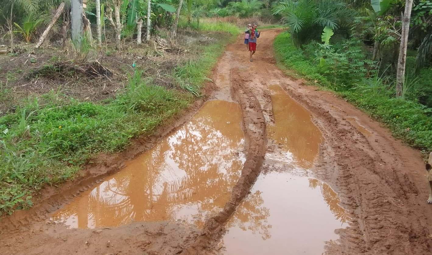Puluhan Tahun Tak Pernah Mulus, Jalan di Desa Talang Beringin Belum Tersentuh Perbaikan