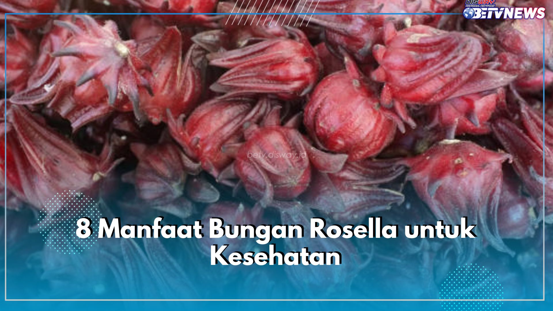 8 Manfaat Bungan Rosella Ini Jarang Diketahui, Jadi Jangan Lewatkan!