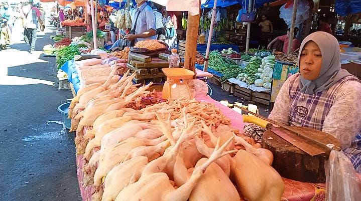 Harga Daging Ayam di Kota Bengkulu Hari Ini, Rp40 Ribu per Kg