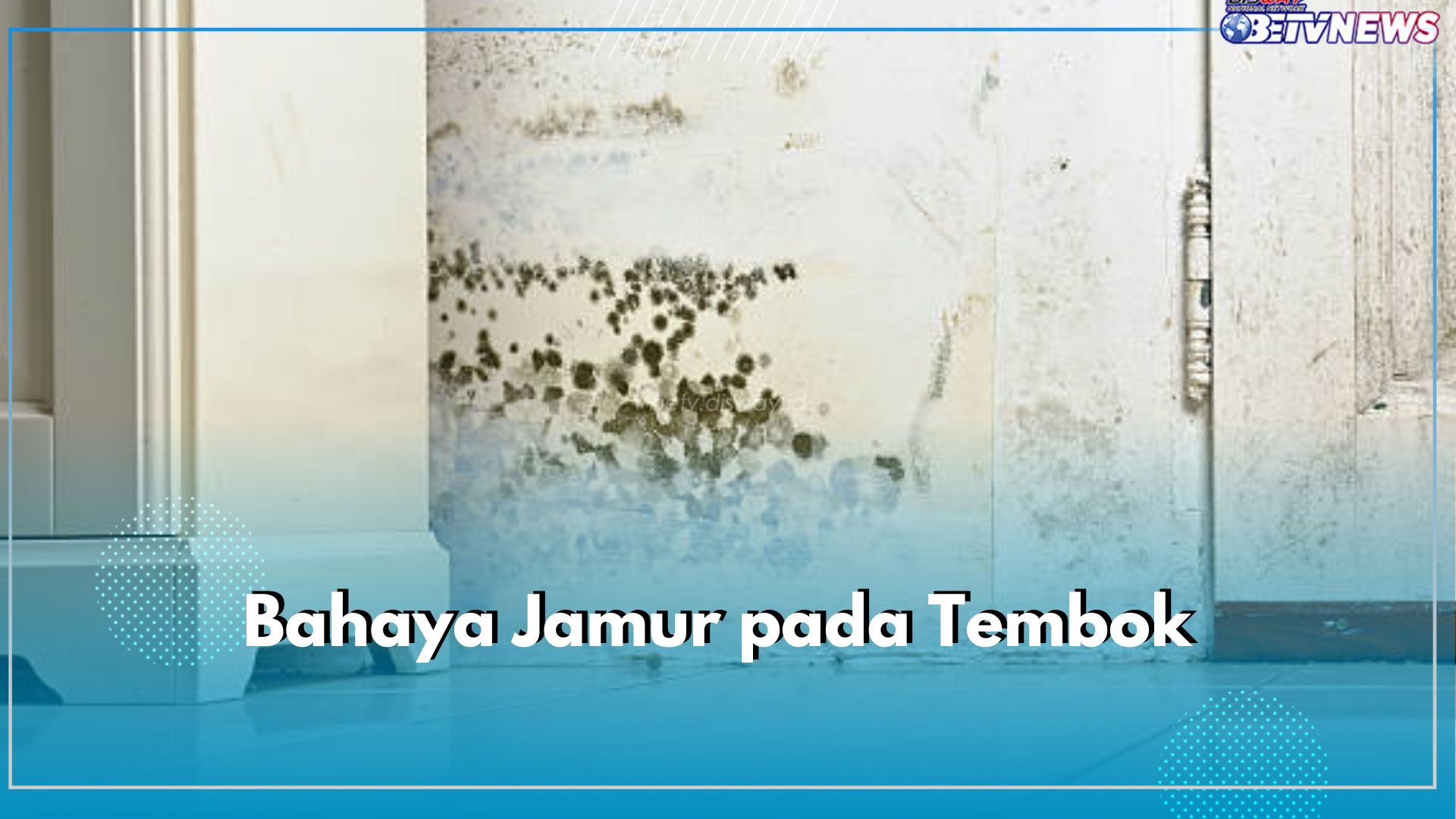 Bisa Sebabkan Infeksi Kulit hingga Keracunan, Ini 6 Bahaya Jamur pada Tembok yang Tak Boleh Diabaikan