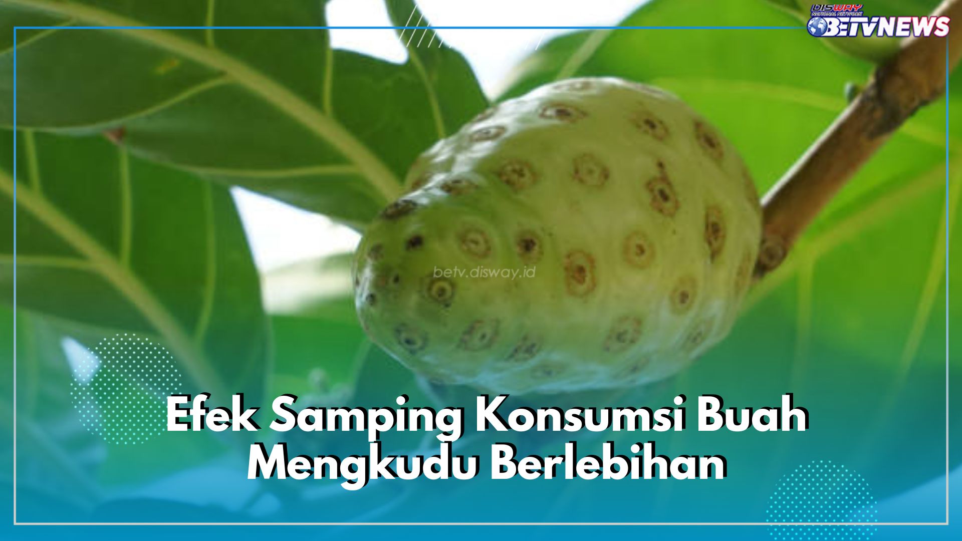 6 Efek Samping Konsumsi Buah Mengkudu Berlebihan untuk Tubuh, Perhatian Asupannya!