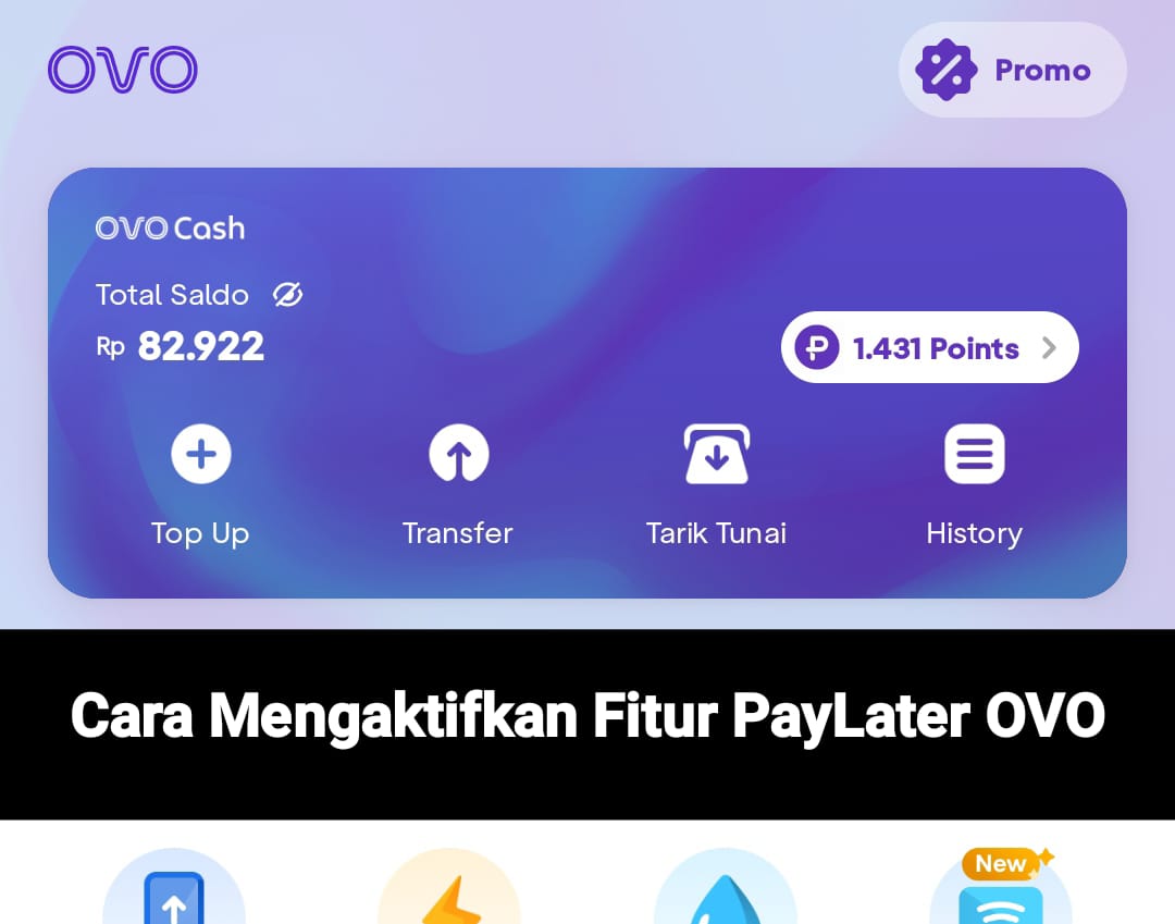 Cek Domisili KTP! Pengguna OVO di Wilayah Ini Bisa Pinjam Saldo Rp10 Juta, Caranya Cukup Aktifkan PayLater