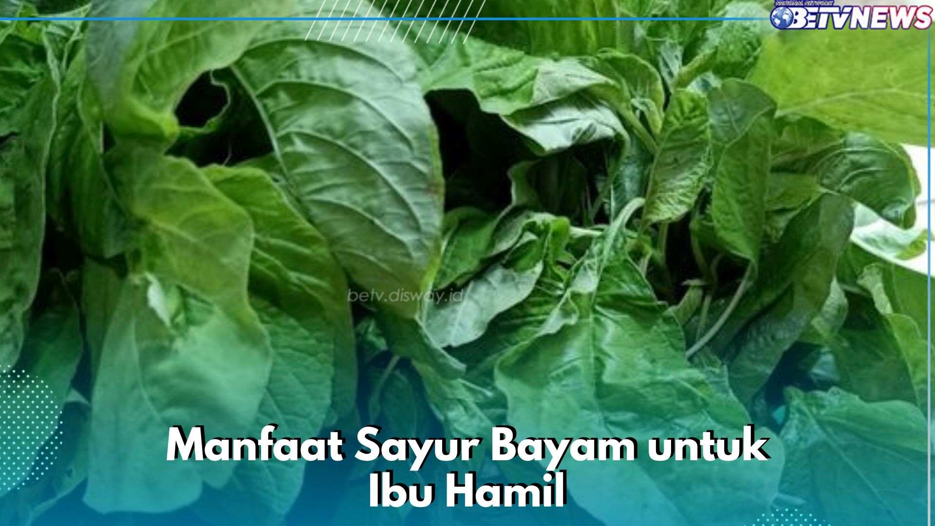 Sederet Manfaat Sayur Bayam untuk Ibu Hamil, Ampuh Menurunkan Tekanan Darah