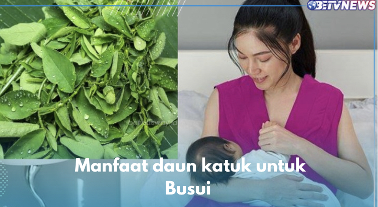 Busui Wajib Banyak Makan Daun Katuk untuk Tingkatkan Produksi ASI, Cek 7 Manfaat Lainnya