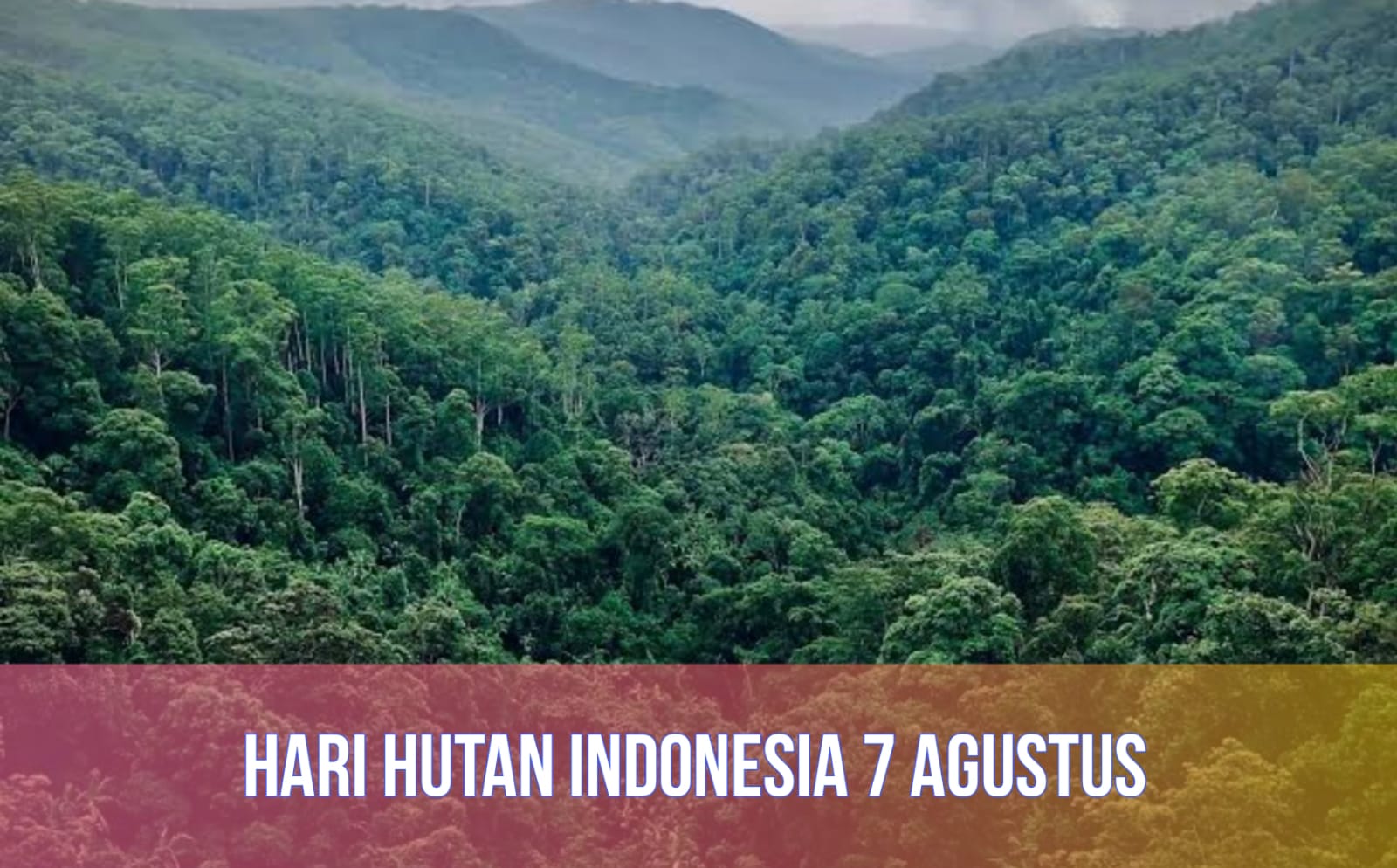 Peringatan Setiap Tanggal 7 Agustus: Ini Sejarah, Tujuan, dan Tema Hari Hutan Indonesia