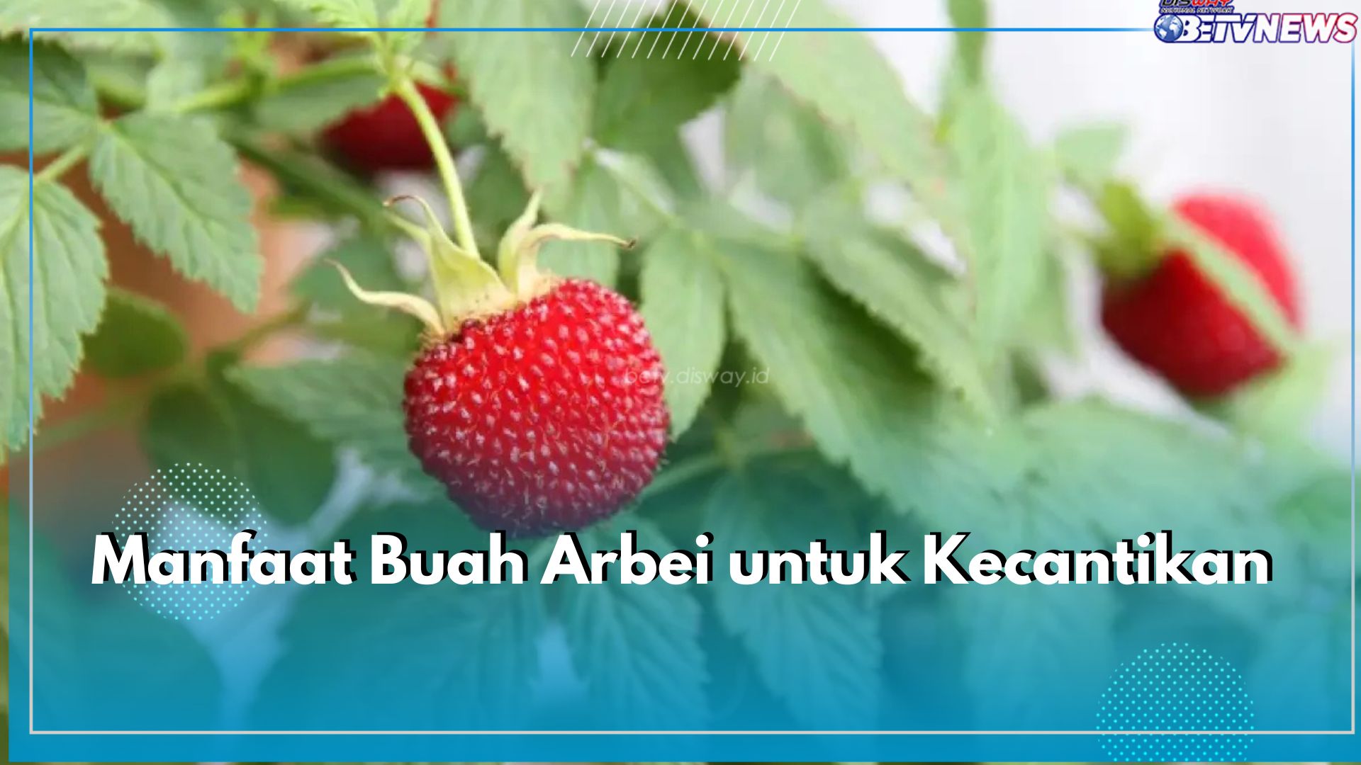 Bukan Sembarang Buah Liar, Ini 6 Manfaat yang Ditawarkan Buah Arbei untuk Kecantikan