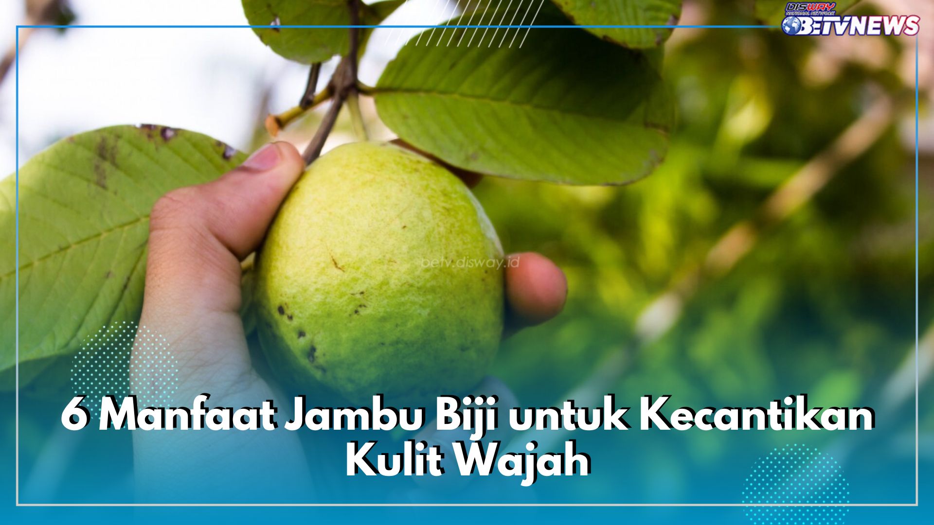 Mengencangkan hingga Mencerahkan, Inilah 6 Manfaat Jambu Biji untuk Kecantikan Kulit Wajah