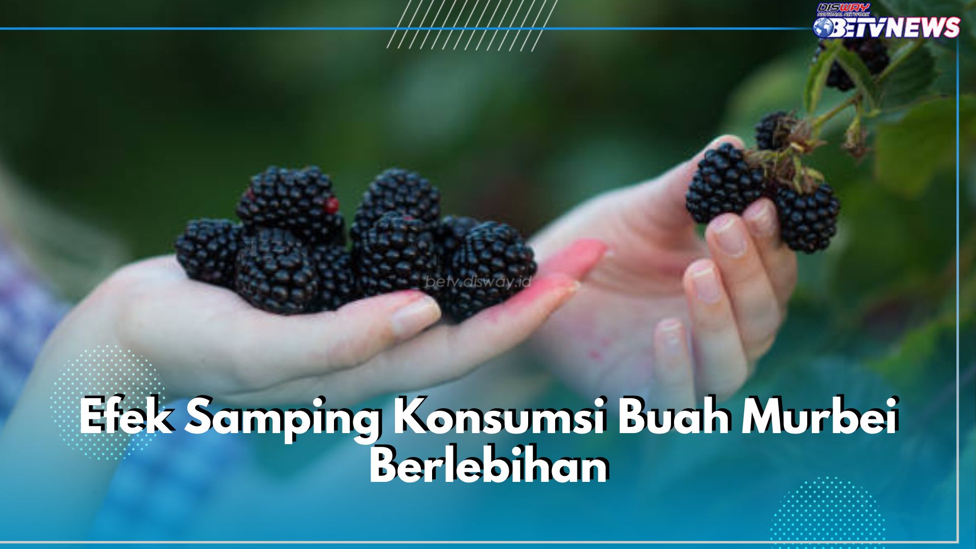 Waspadai 5 Efek Samping Konsumsi Buah Murbei Berlebihan, Bisa Pengaruhi Fungsi Hati