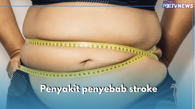 Hati-hati, 8 Penyakit Ini Bisa Sebabkan Stroke, Nomor 5 Obesitas, Cek yang Liannya di Sini